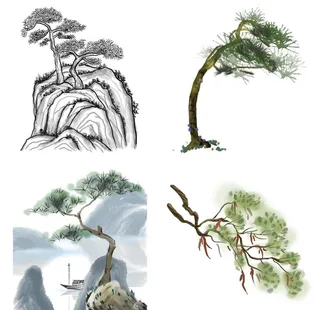 中国风水墨松树松枝迎客松水墨画图片