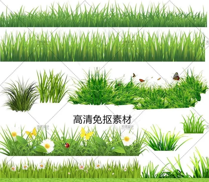 小草图片(3543x4724)psd模版下载