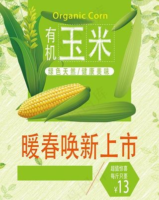 玉米海报图片