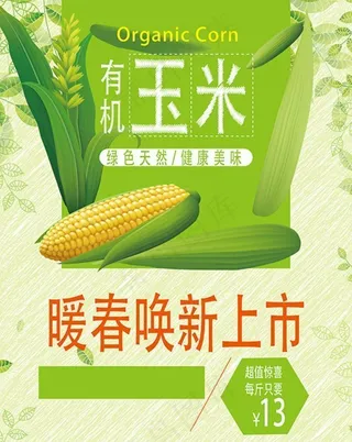 玉米海报图片