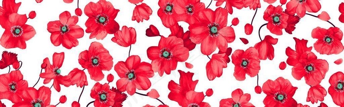 手绘花 图片(5906x2673)