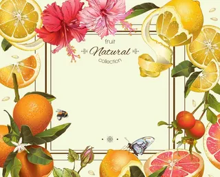 插画树叶花水果蜂蜜图片