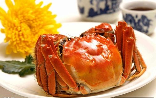 大闸蟹图片