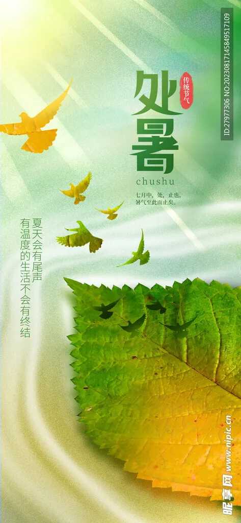 处暑图片(1242x2688)psd模版下载