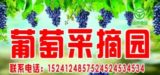 葡萄采摘园图片