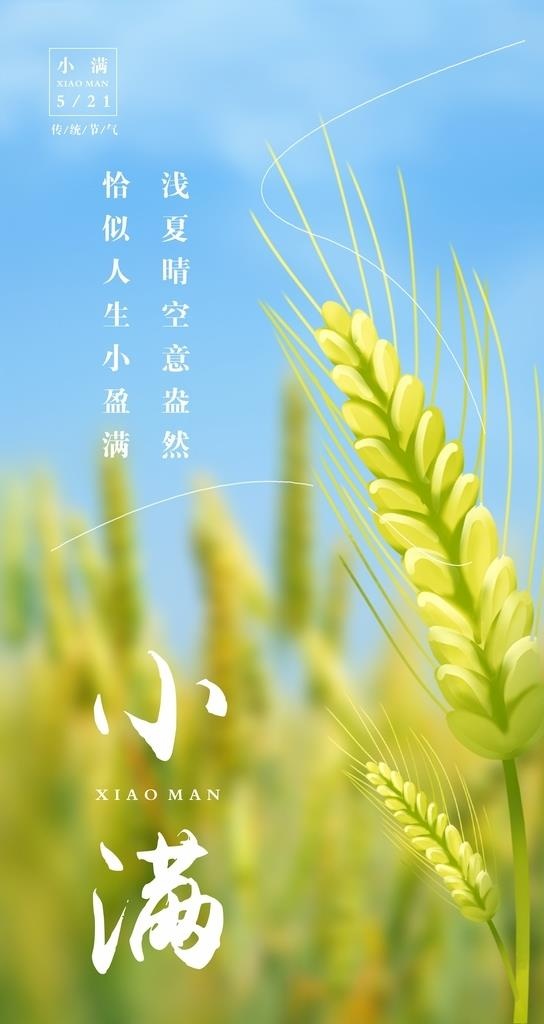 小满海报图片cdr矢量模版下载