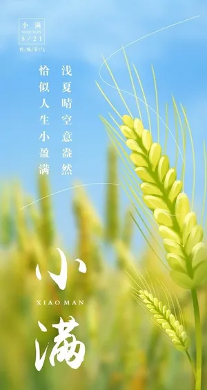 小满海报图片