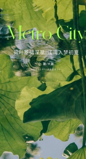 小暑图片