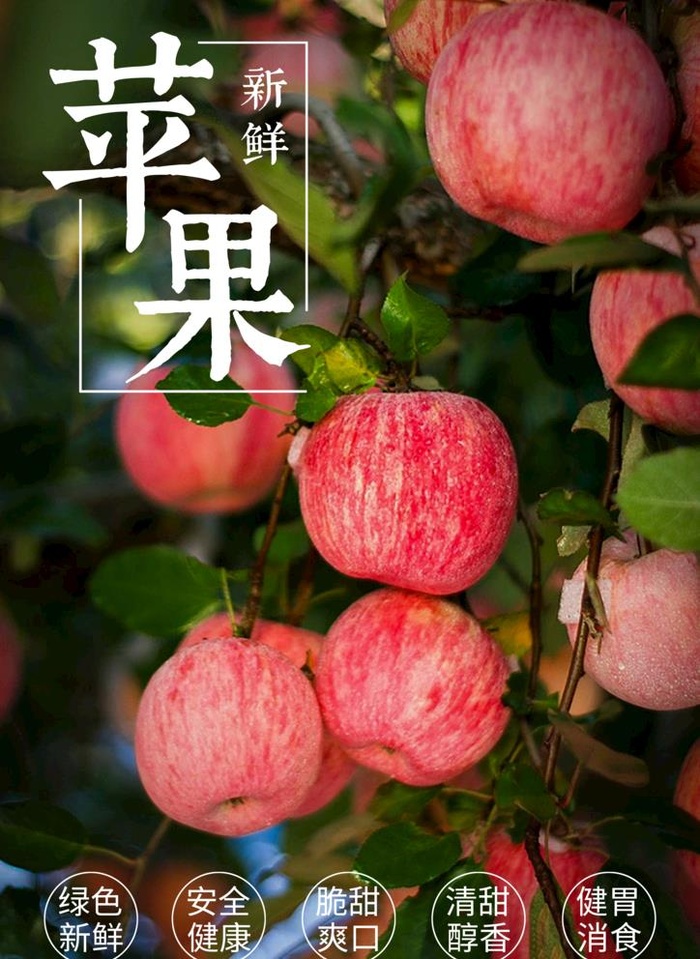 苹果图片