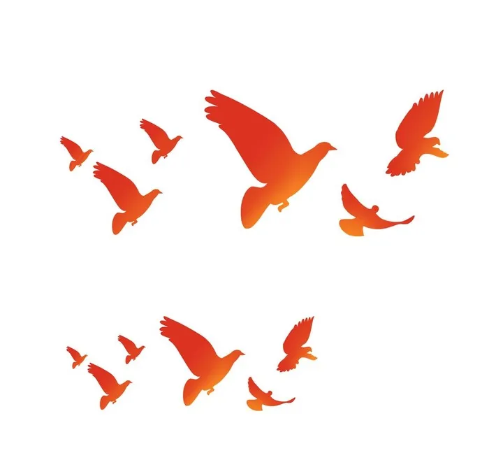 鸽子剪影图片(4000x4000)psd模版下载