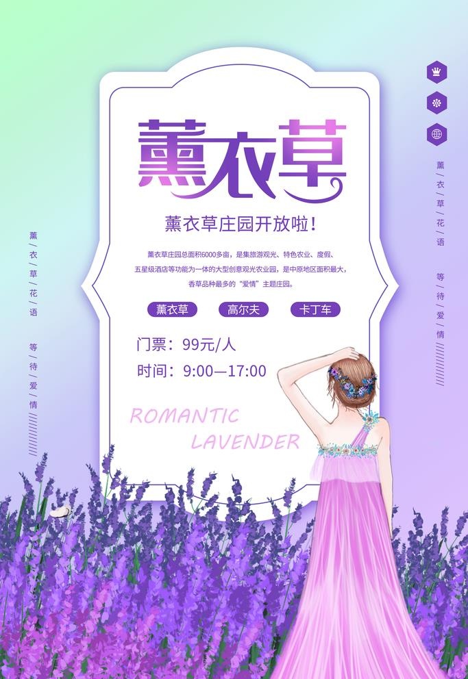 薰衣草图片(3543x5315)psd模版下载