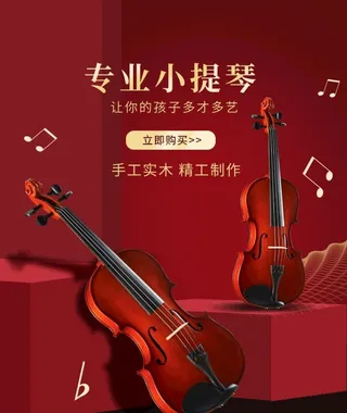专业小提琴图片