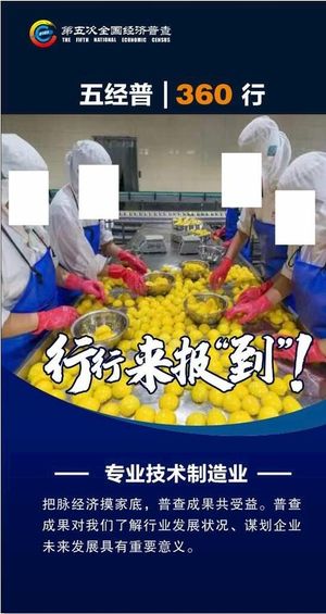 第五次全国经济普查图片