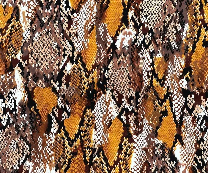 蛇皮纹图片(3543x3177)
