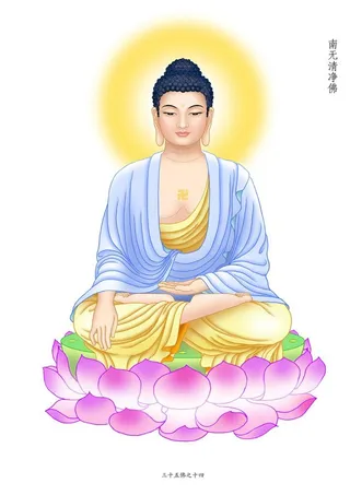 清净佛,佛画,画佛,造像,八十八佛,,设计