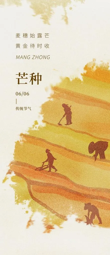 芒种海报图片(1654x3579)psd模版下载