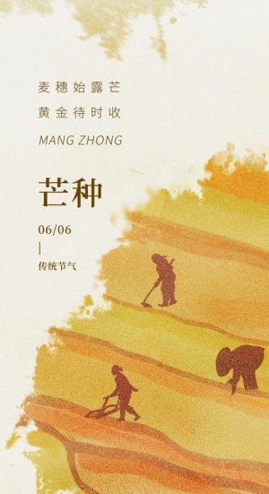 芒种海报图片