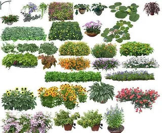 绿色装饰 盆景 绿色植物图片