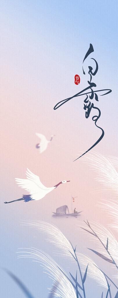 白露图片(1242x2688)psd模版下载