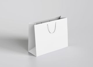 手提袋样机图片