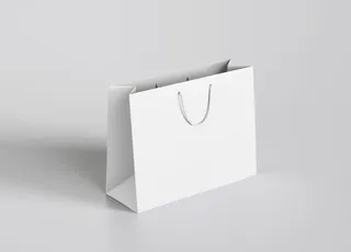 手提袋样机图片