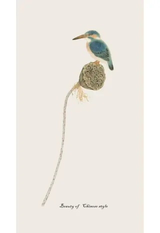 简约莲藕鸟玄关画图片