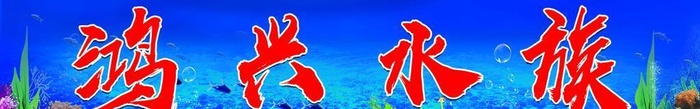 水族馆图片