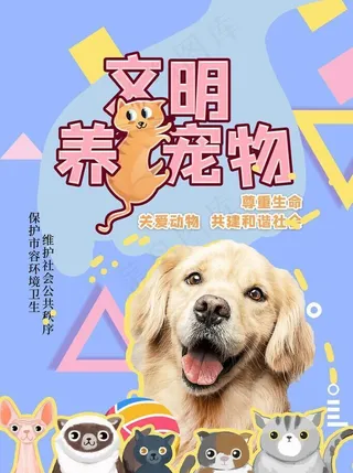 宠物海报图片