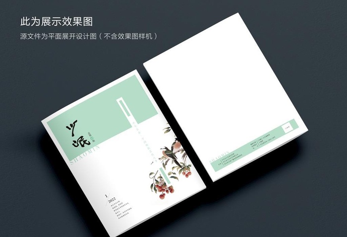 文学杂志期刊封面图片