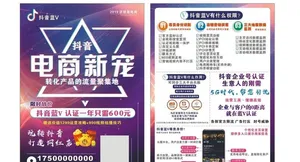 抖音蓝V图片