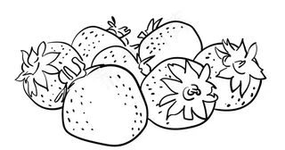 原创手绘水果草莓线条图片