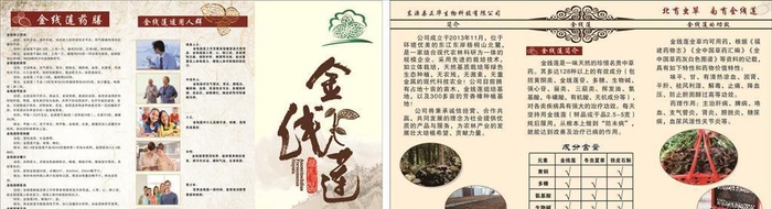 金线莲宣传单图片cdr矢量模版下载