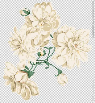 中国风 古典 手绘 花卉花朵图片