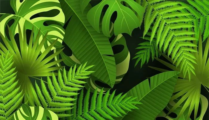 热带植物图片ai矢量模版下载