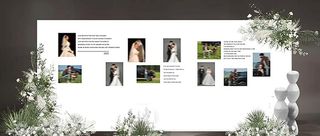 白色婚礼照片墙图片