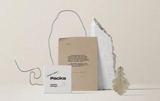 包装场景样机图片