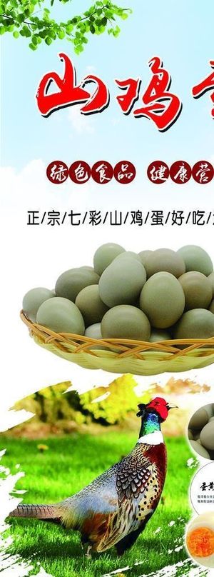 山鸡蛋图片
