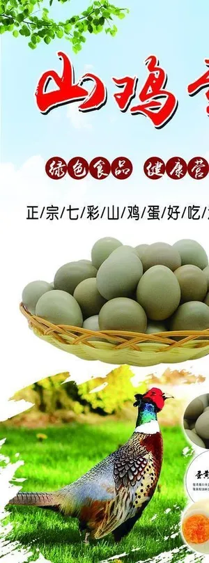 山鸡蛋图片