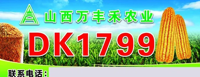 玉米种子海报图片(9449x3937)psd模版下载
