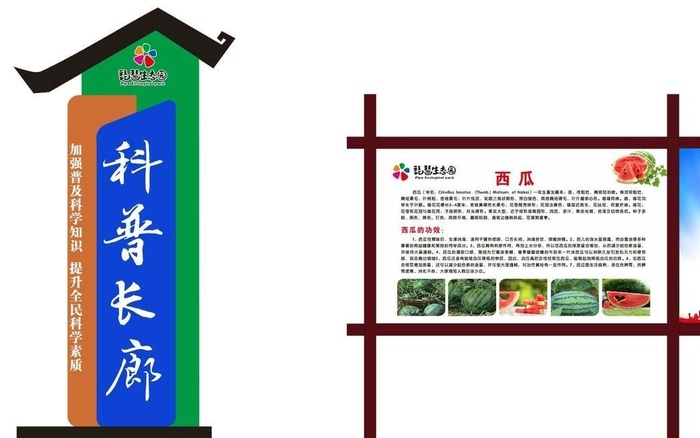 科普长廊图片