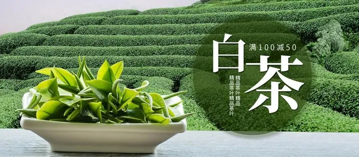 白茶图片(1920x900)psd模版下载