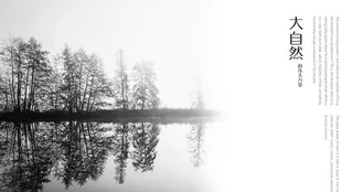 自然树林风景家居灯箱图片