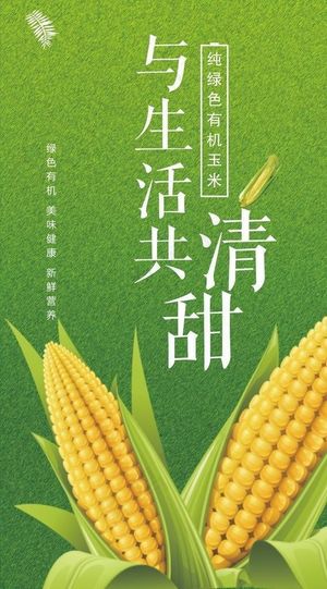 玉米海报图片
