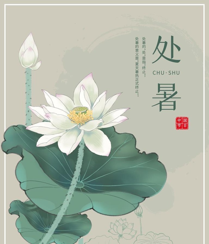 处暑展板背景图片