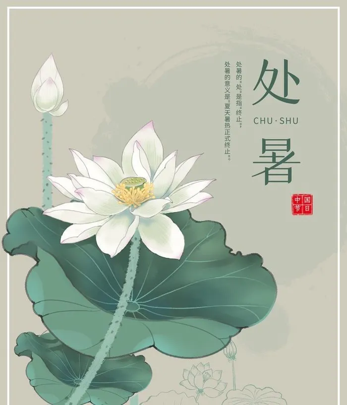 处暑展板背景图片(7087x9449)psd模版下载