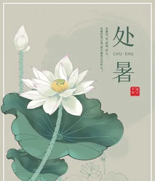 处暑展板背景图片