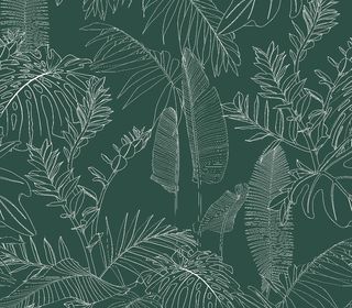 线条热带树叶图片