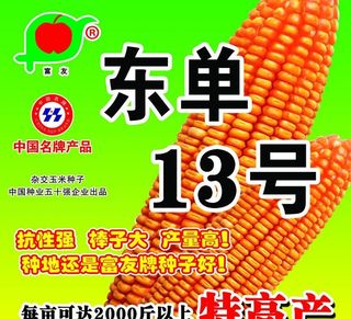 富友东单13号图片