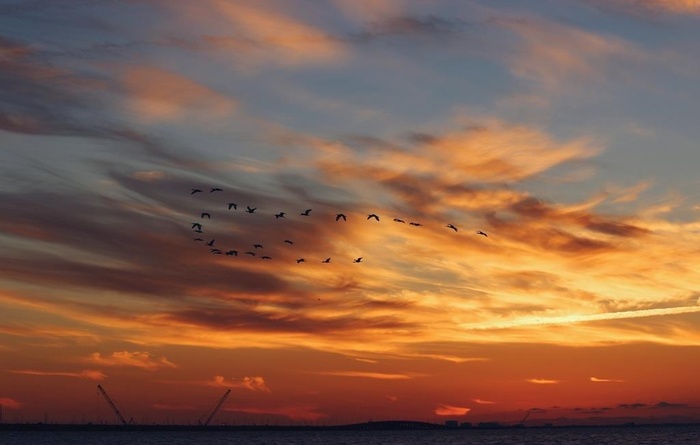 夕阳天空图片