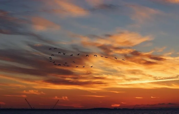 夕阳天空图片